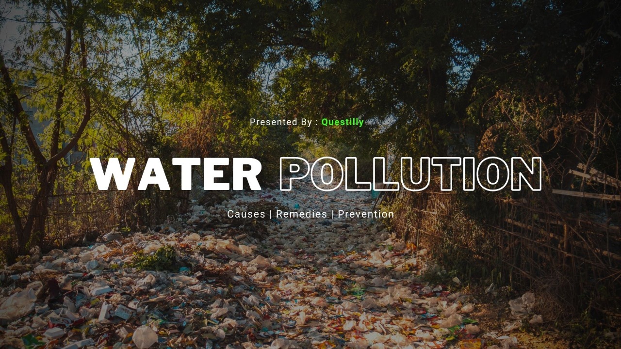 Water Pollution PPT Free Download | 10 Slides | Questilly